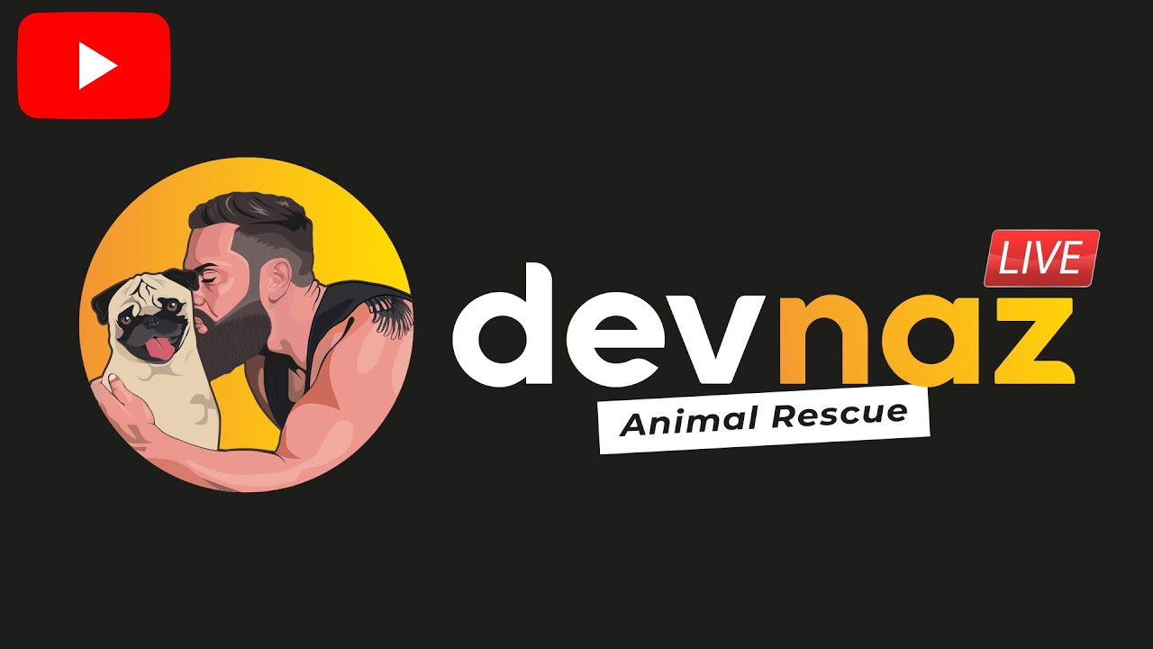 🔴[ LIVE ] Saving endangered birds
