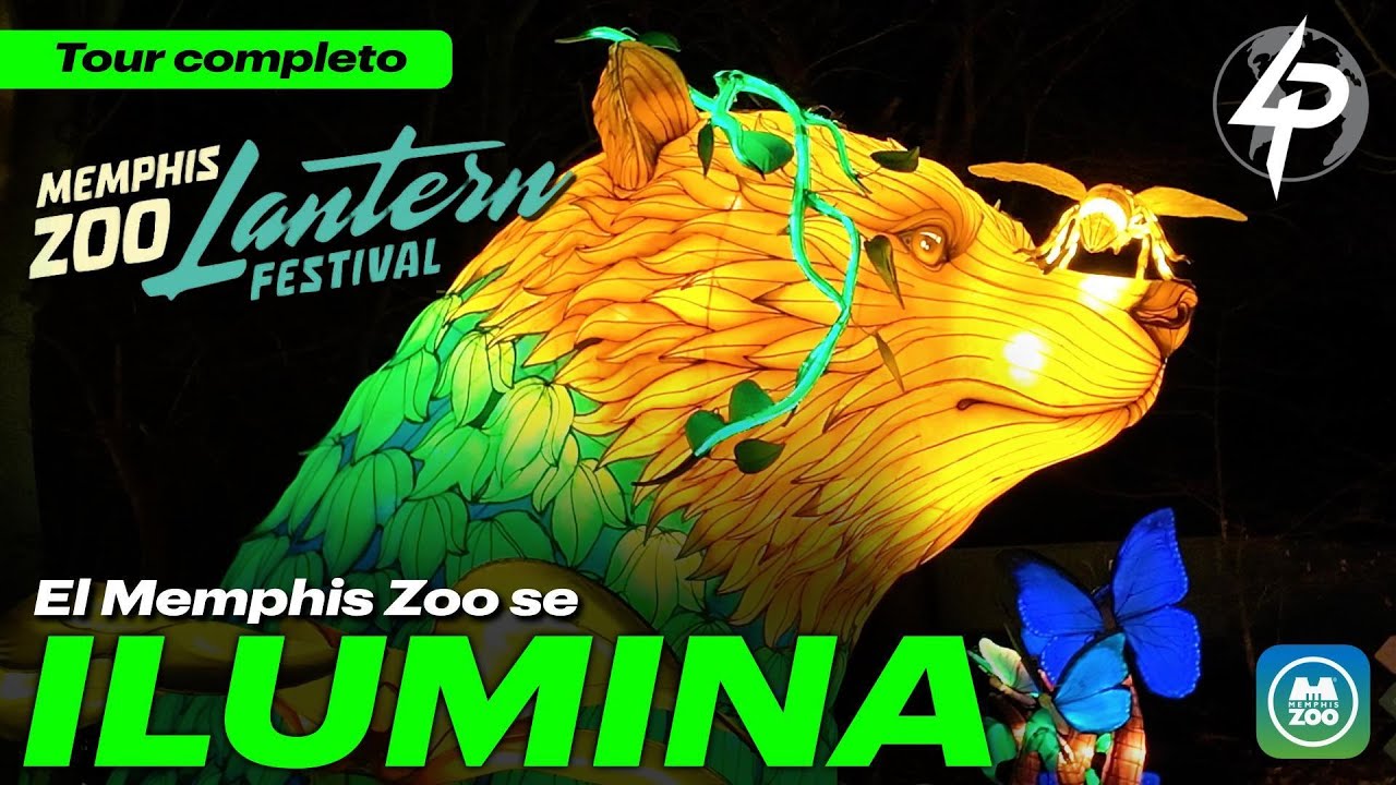 🌟 Lantern Festival Memphis 2025 | El Festival de Luces que Tienes que Vivir en EE.UU. 🇺🇸✨