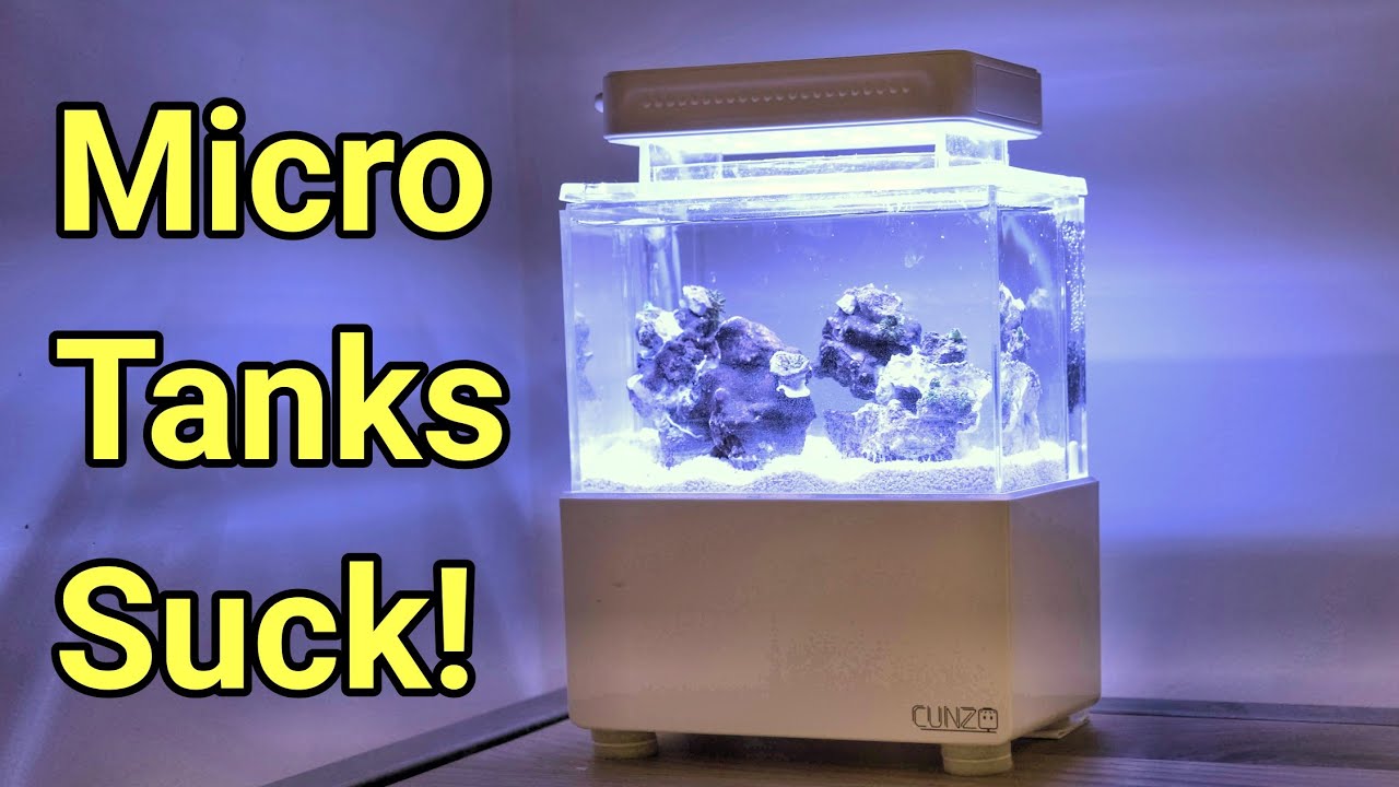 Watch This Before You Get A Micro Saltwater Tank!