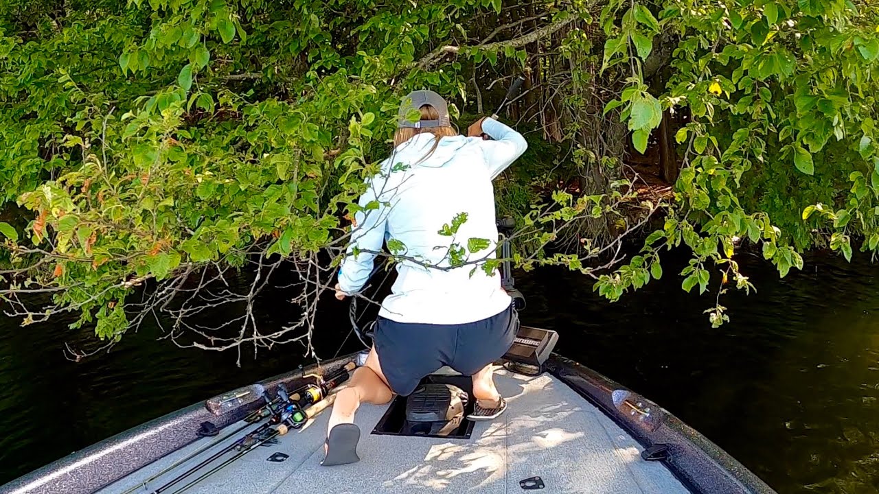 Finding Summer Bass SUPER Shallow!
