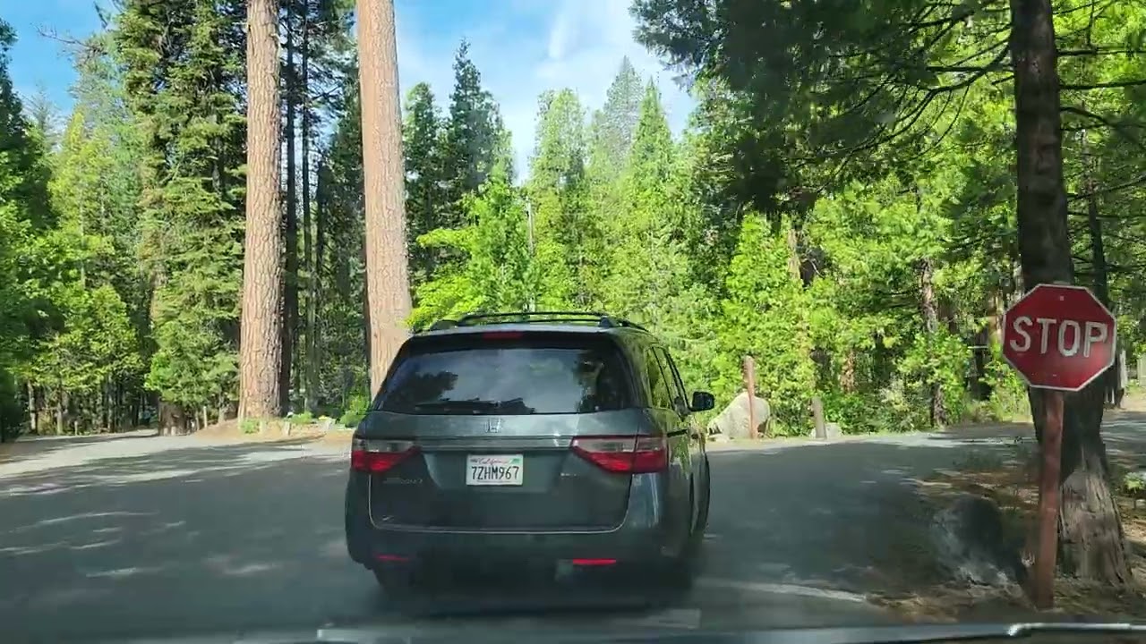 Pinecrest Lake Campground.