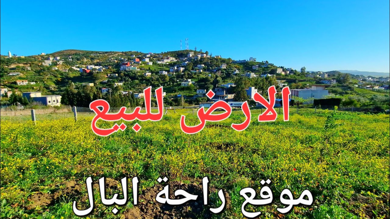 #أرض للبيع نواحي طنجة منطقة سبت زينات مرحبا بالجميع المتتابعين وتساب 0662621368
