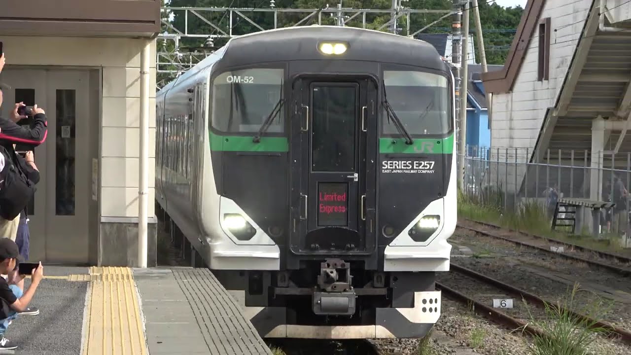 【ミュージックホーンが鳴りっぱなし！？】御殿場にE257系の特急Mt.Fuji御殿場が到着！