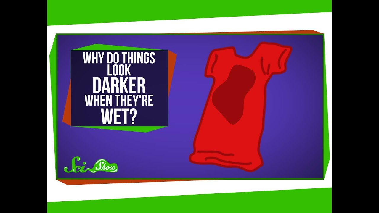 Why Do Things Look Darker When They're Wet?