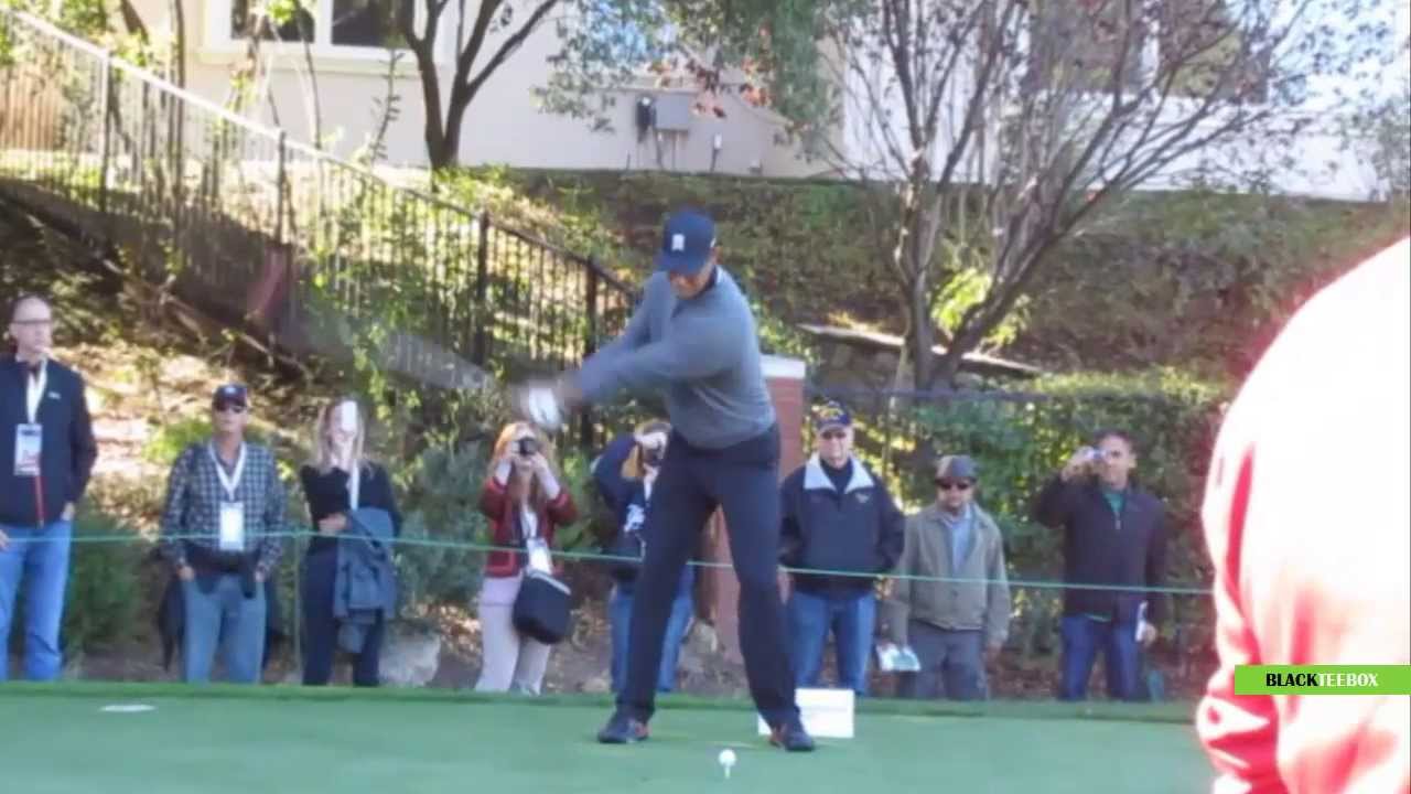 Tiger Woods - Driver Swing