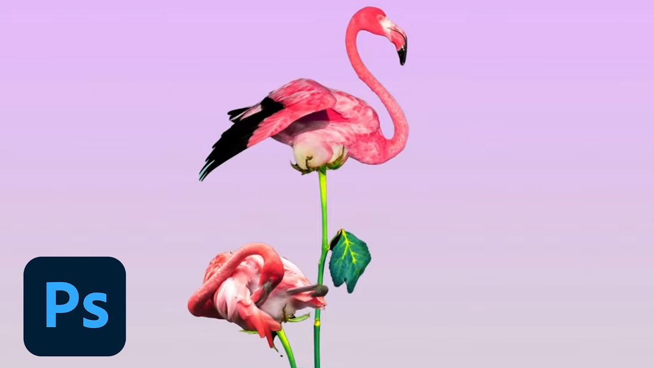 Photoshop Daily Creative Challenge - Merge Images | Adobe Creative Cloud