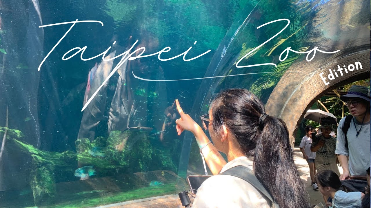 Aesthetic 💖ASMR TRIP TO TAIPEI ZOO✨
