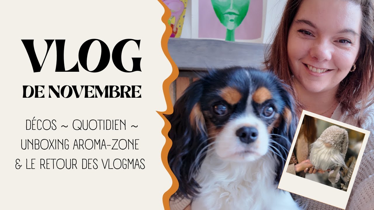 VLOG de novembre 🎄 Décos de Noël, moments de vie & retour des Vlogmas