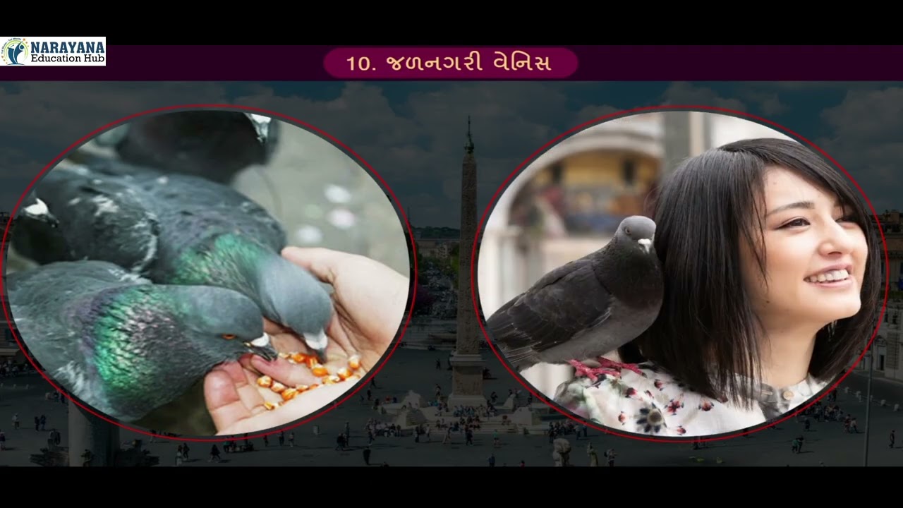 CLASS 12 GUJARATI Chapter 10 JALNAGRI VENIS | જળનગરી વેનિસ | English medium| Animated video One Shot