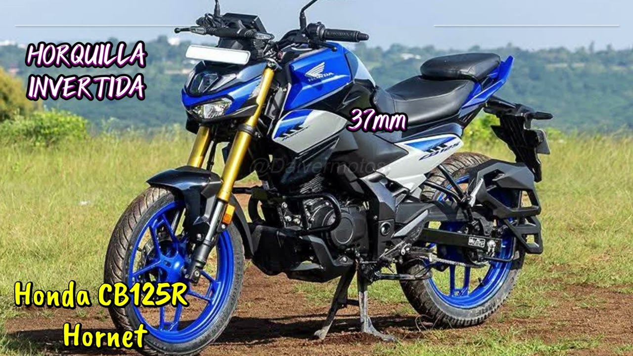 🔴 ESTILO NAKED HONDA 🆚️ MUSCULO HERO 😱‼️HONDA CB 125 HORNET 🆚️ HERO HUNK 125 R‼️PRECIO, MOTOR,