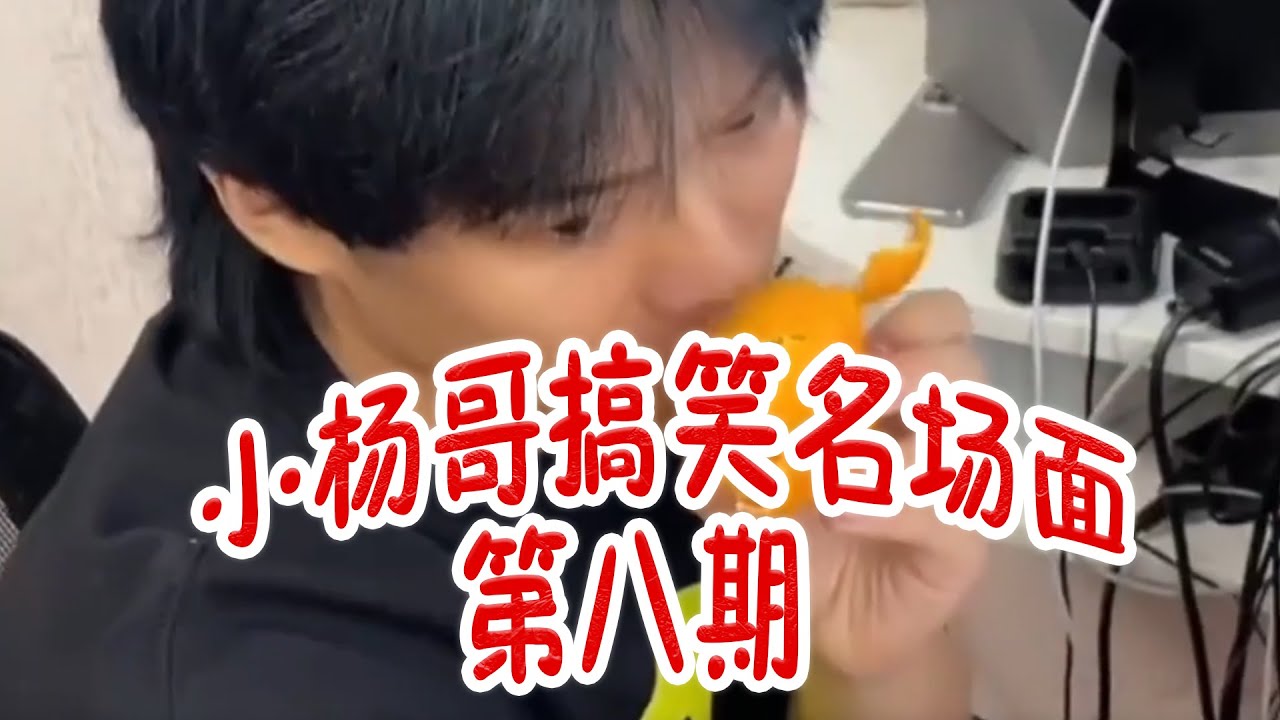 盘点小杨哥搞笑名场面第八期 #疯狂小杨哥 #疯狂小杨哥