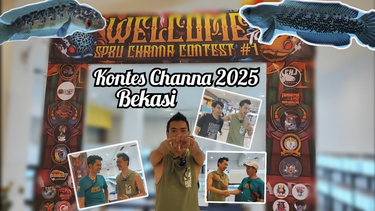Contest Ikan Channa 2025 Kota Bekasi