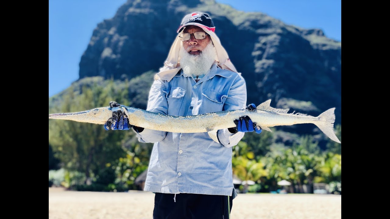 s18ep27- Fishing in Mauritius at Le Morne- Big Needle Fish from shore