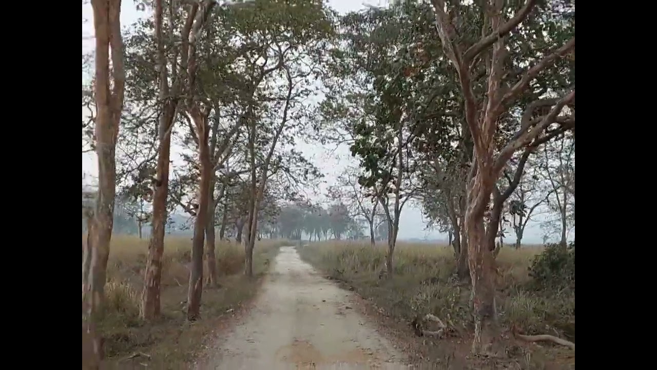 Kaziranga Trip @AssamTourism