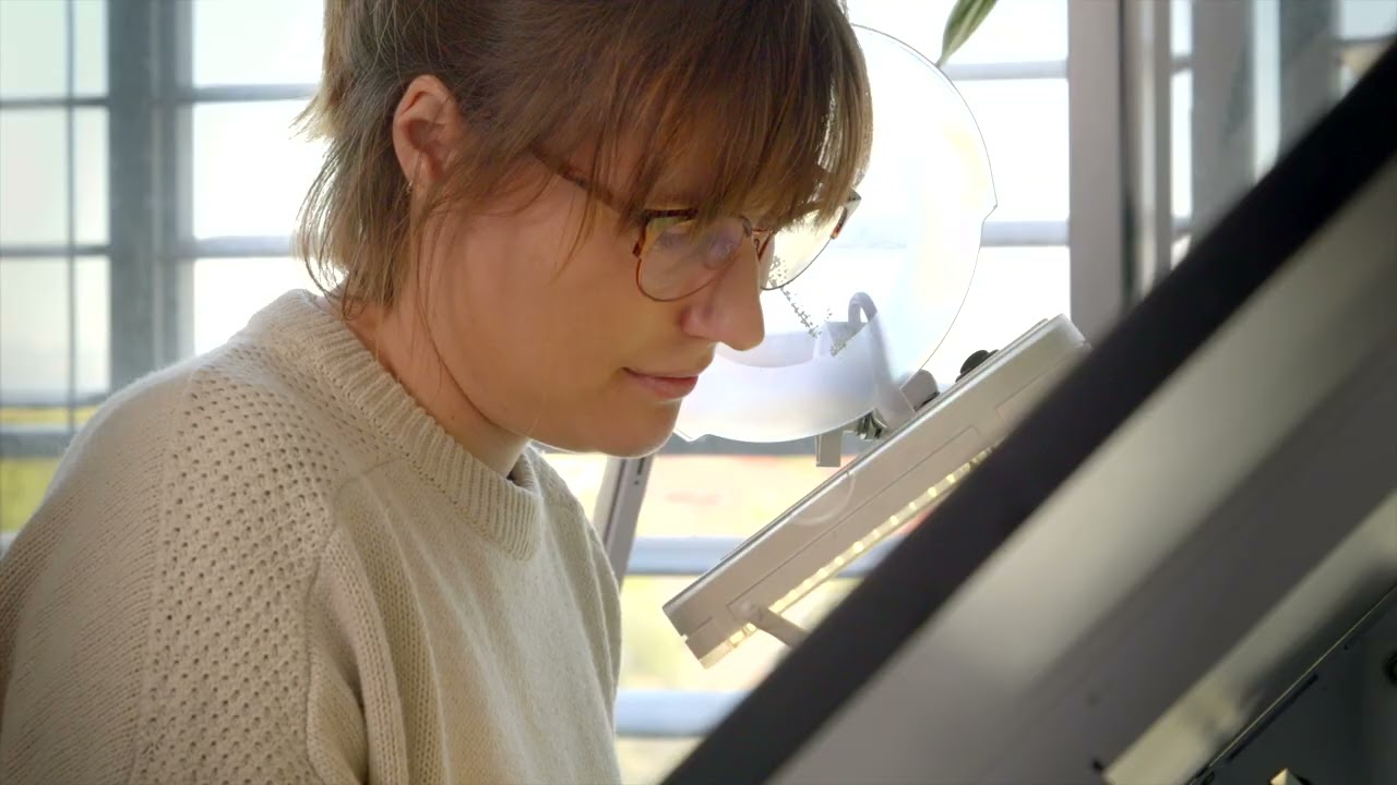 Eva Nolan - new works