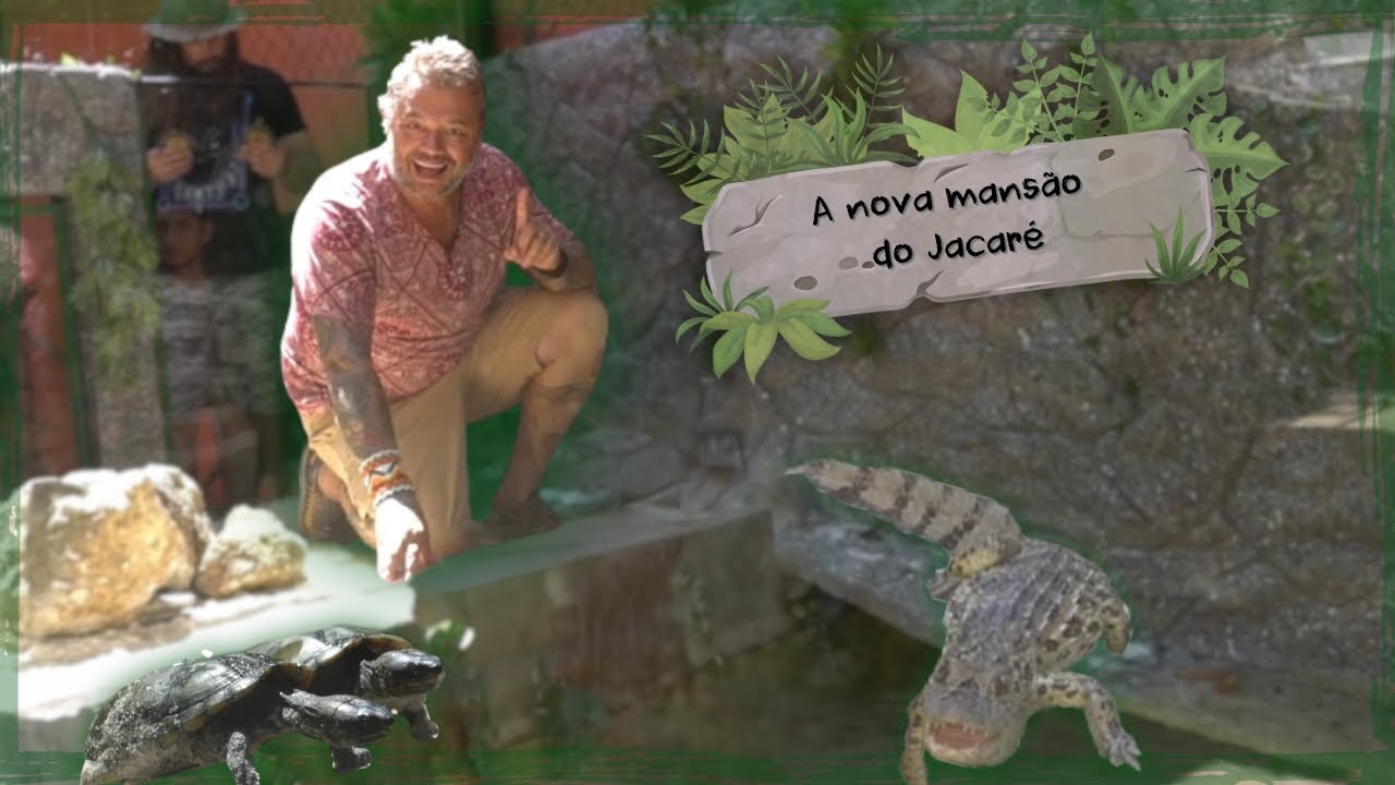 MAIS UM DIA DE MUDANÇAS: JACARÉ E QUELONIOS DE CASA NOVA! | A CASA DOS BICHOS