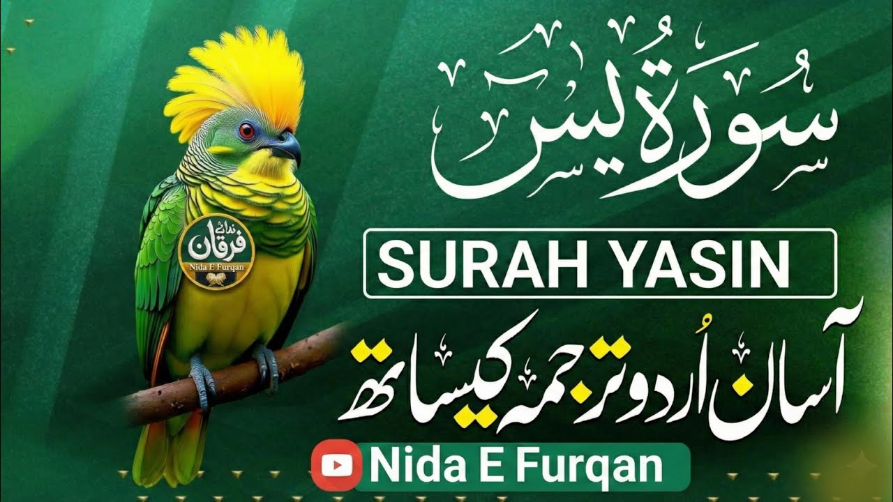 Surah Yaseen | With Urdu Translaton |The Ultimate Cure for Stress and Anxiety (Beautiful Voice)