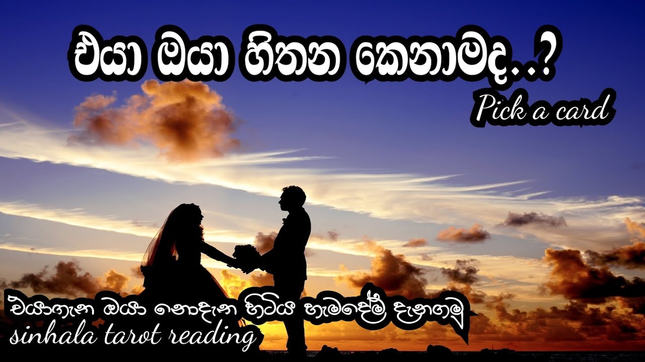 එයා ඔයා හිතන කෙනාමද..?(Sinhala tarot reading )