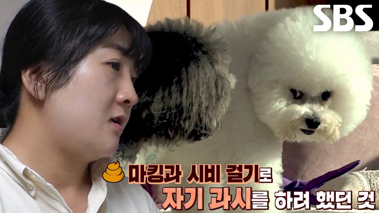 &lsquo;똥 마킹&rsquo; 해왔던 아톰의 속사정 공개