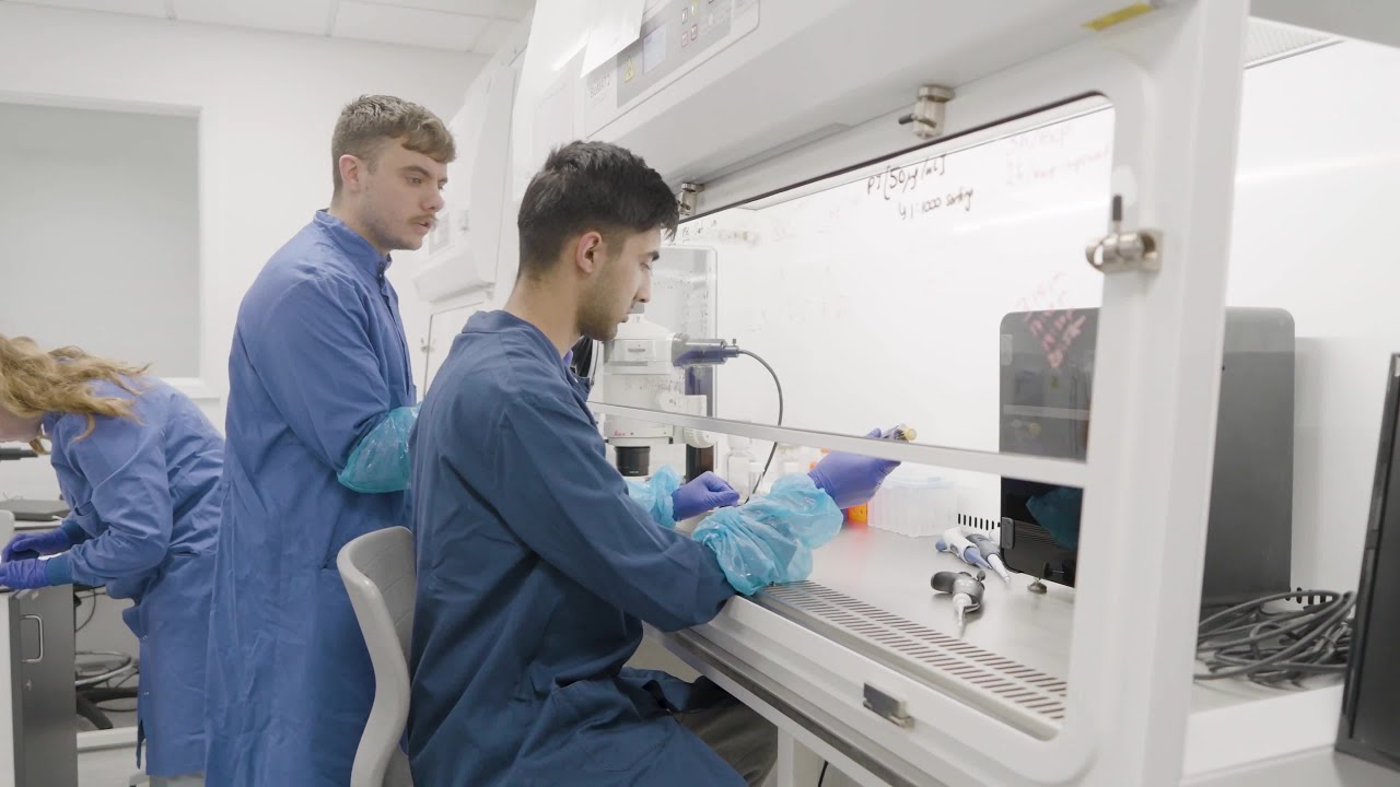 Discover our Biomedical Sciences course | University of Nottingham