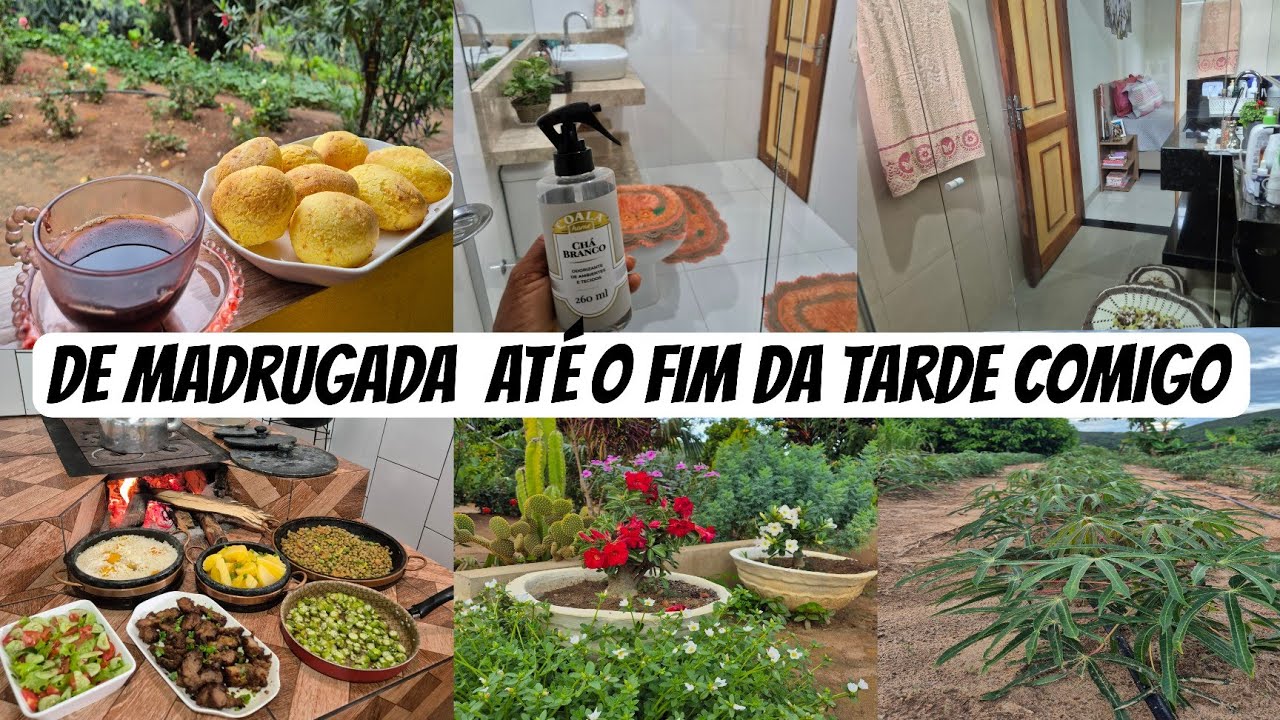 Tudo que fiz em um dia/ muito trabalho/ receitas/ faxina e tour pelo meu quintal produtivo 