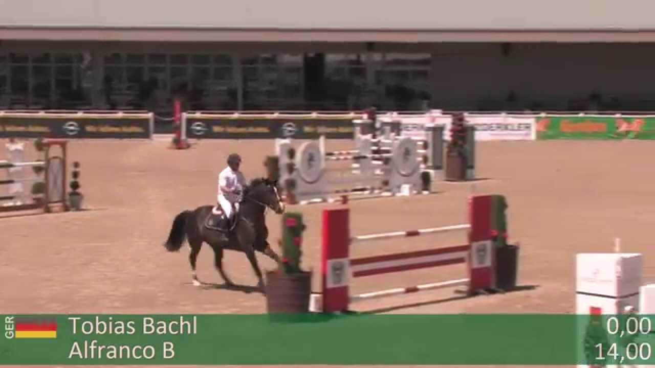 ALFRANCO B , SIEGT IN DER YOUNGSTER TOUR F&Uuml;R 6 year old horses...