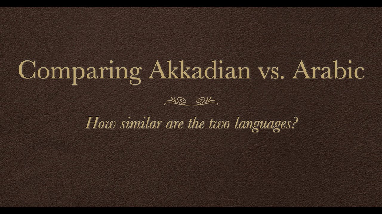 Akkadian vs Arabic - How similar is Akkadian to Arabic?