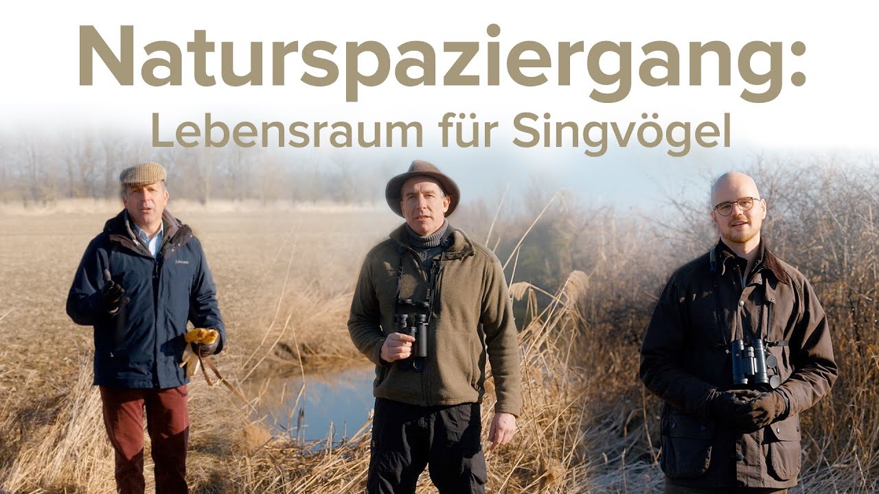 Gut Hardegg | Naturspaziergang – Lebensraum für Singvögel
