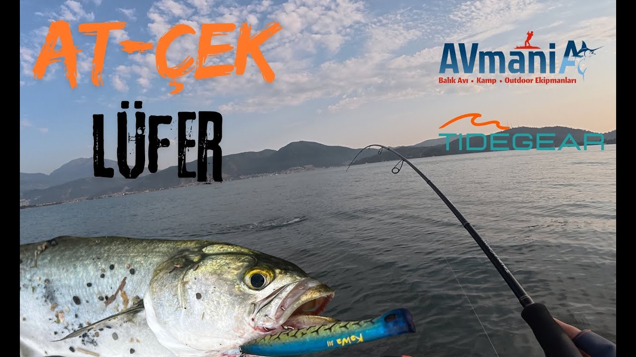 Lüfer Var Hemde Her Zaman !!! Yine Boş Geçmedik. Fethiye Balık Avı. #balıkavı #lüferavı #fethiye