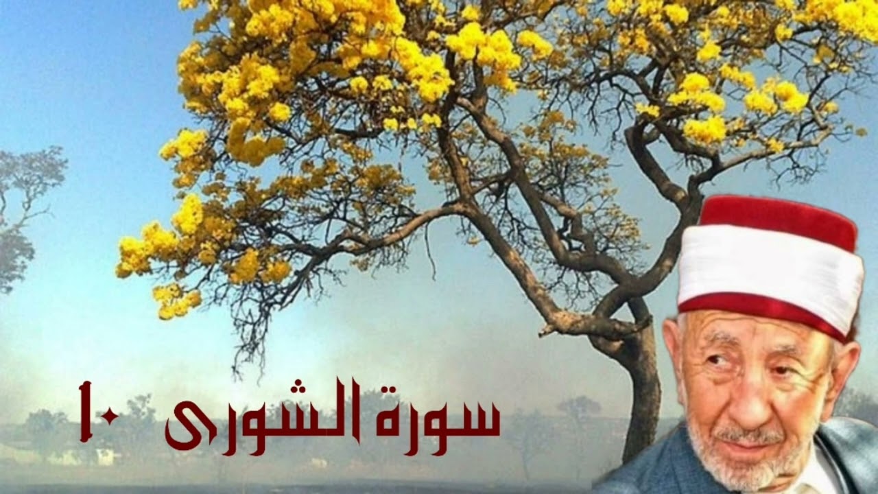 تفسير وتدبر سورة الشورى (أم يقولون افترى على الله كذبا فإن يشأ الله يختم على قلبك ...) للشيخ البوطي