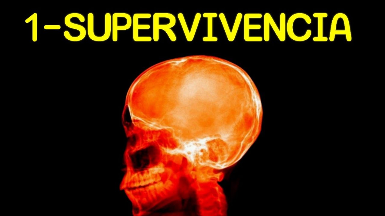 Todos los Errores de tu Cerebro Explicados en 23 min