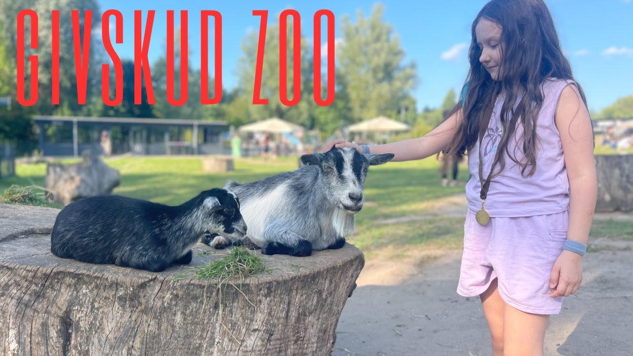Wakacje 2025 /GIVSKUD ZOO / ZOOTOPIA