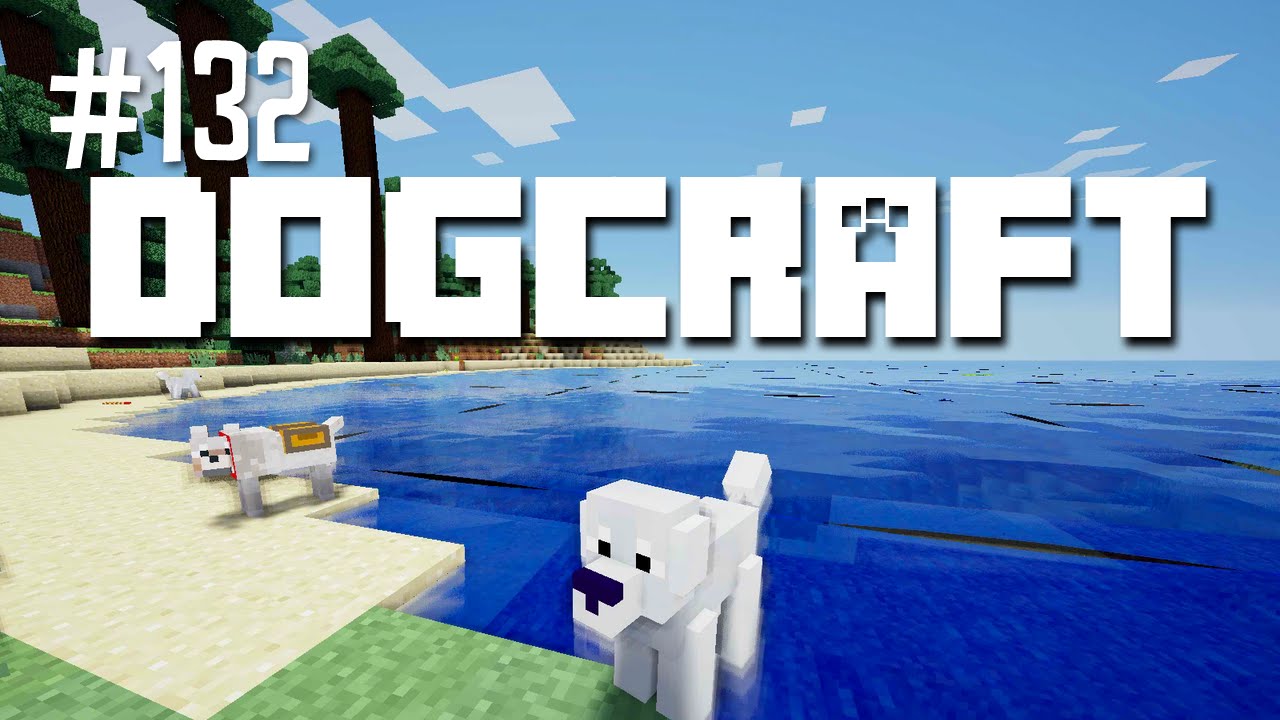 Poodle Beach | Dogcraft (Ep.132)