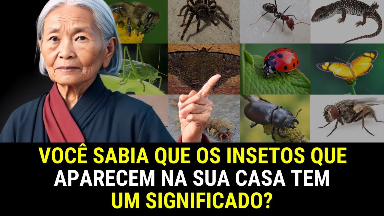 Os INSETOS que aparecem na sua casa tem um SIGNIFICADO 🐞🦋🕷️