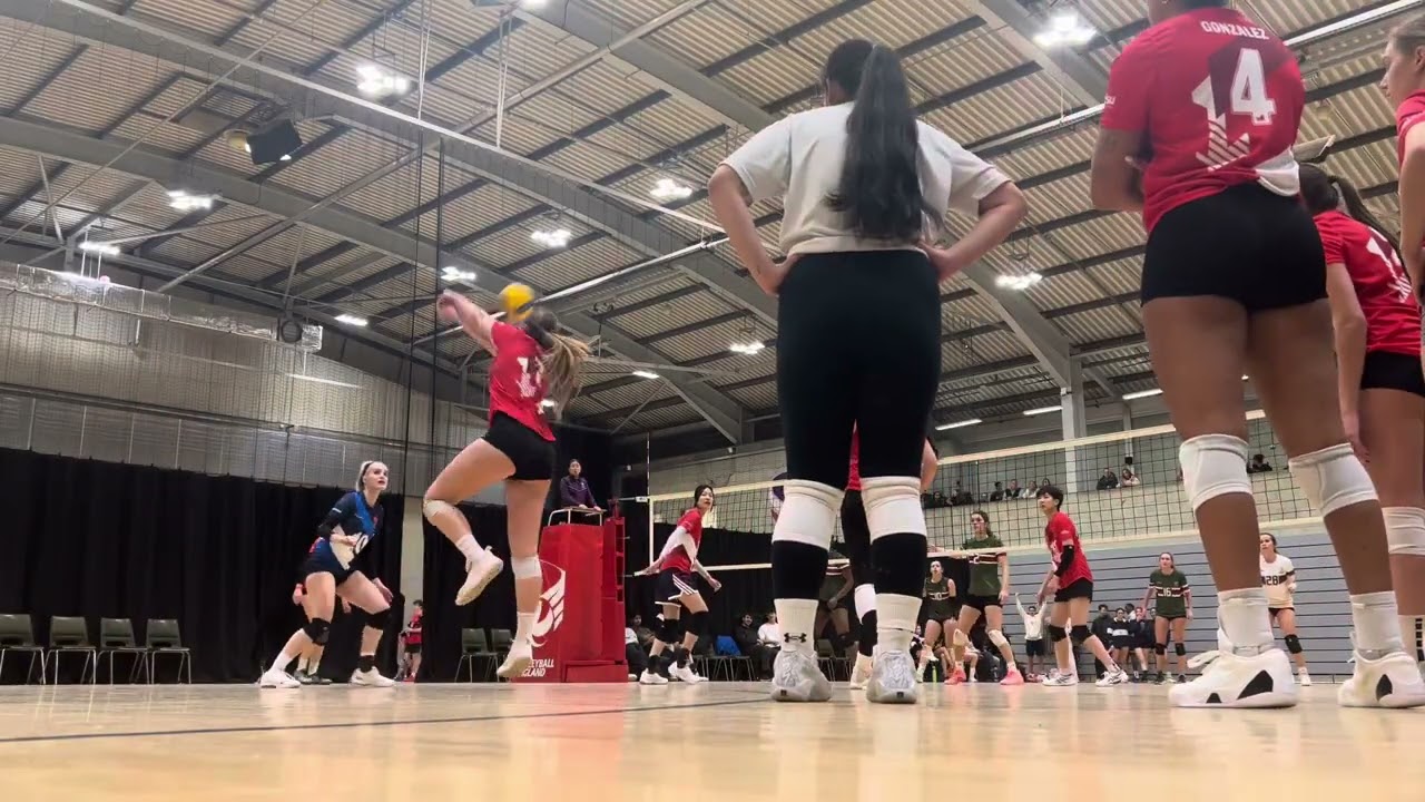November 17, 2025