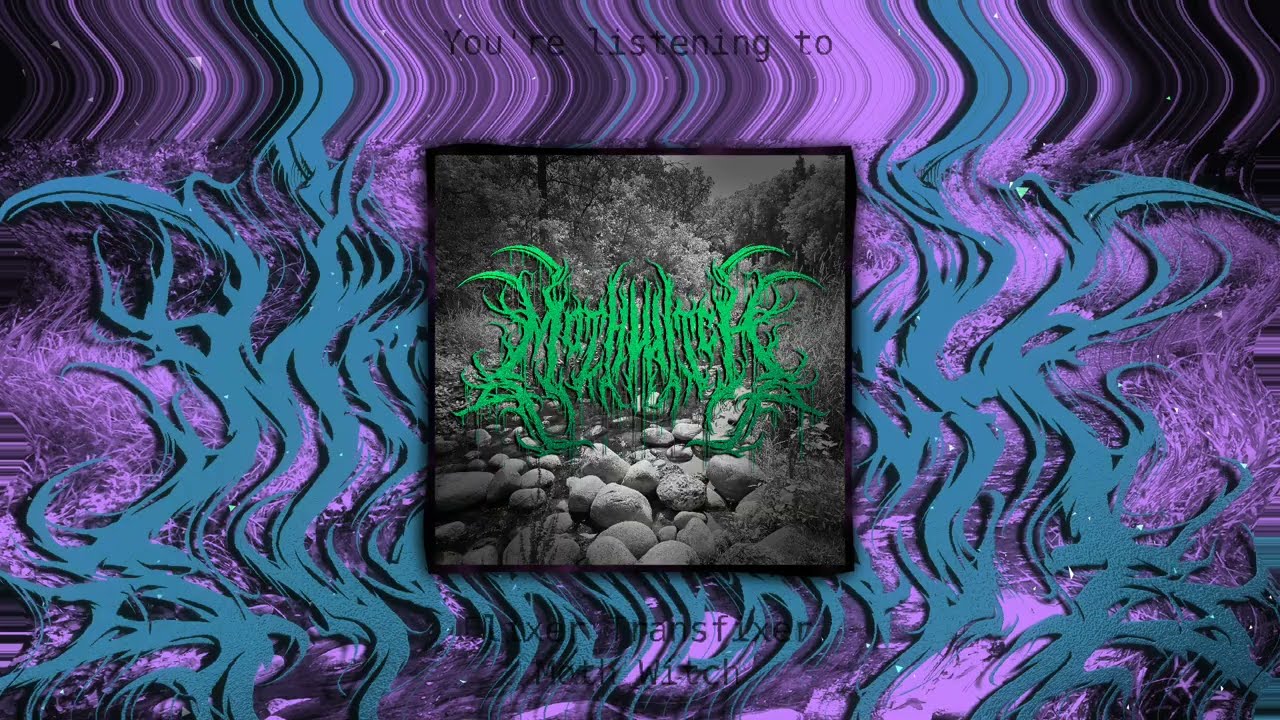 Elixer Transfixer - Moth Witch || New Single 2026