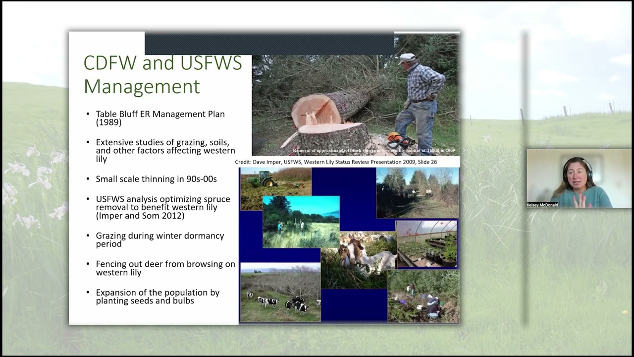 Coastal Prairie Restoration & Recovery of Endangered Western Lily at Table Bluff Ecological Reserve