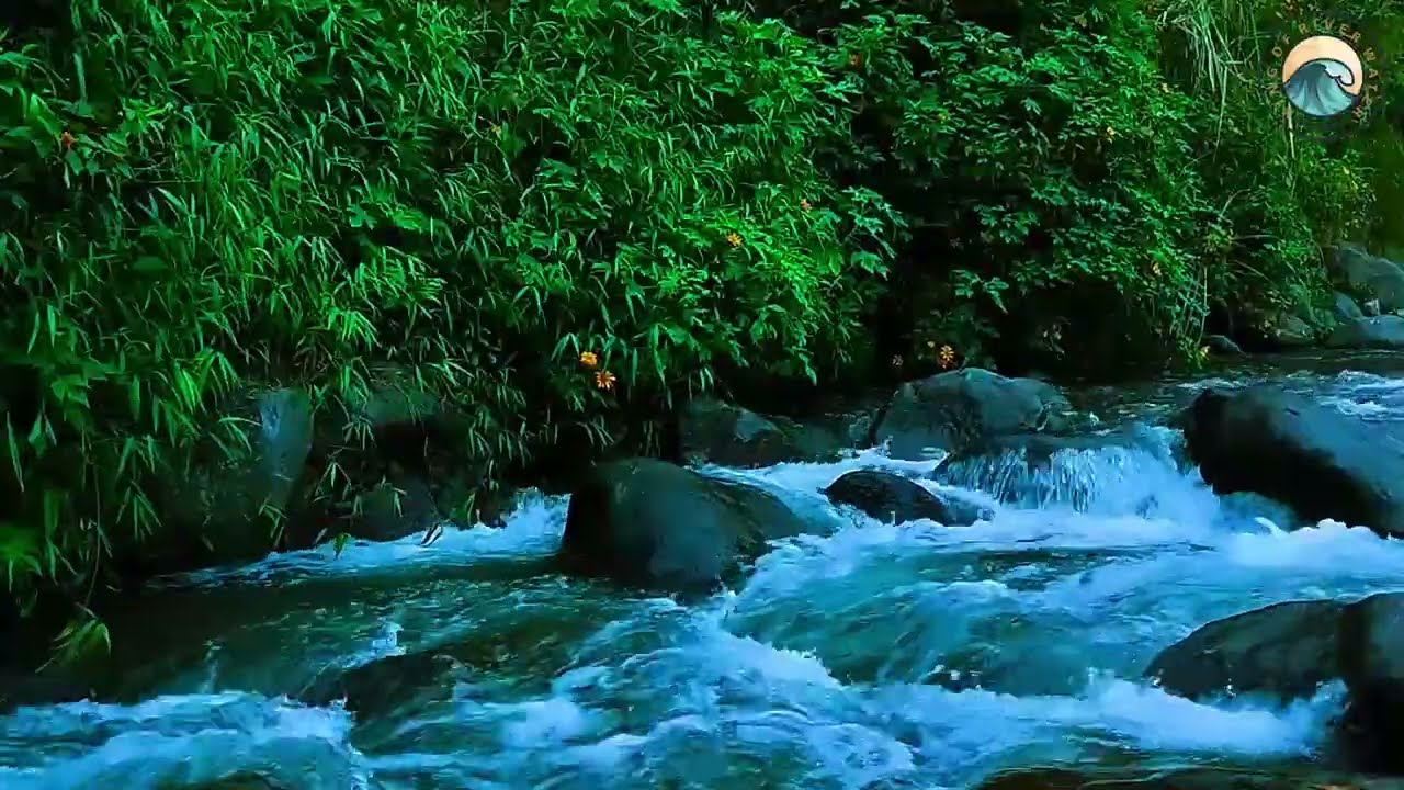 Calm River Stream | White Noise for Relaxation & Focus