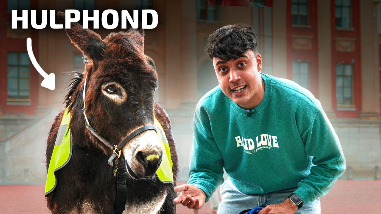 Een EZEL als HULPHOND?! Kijk hoe makkelijk het is!