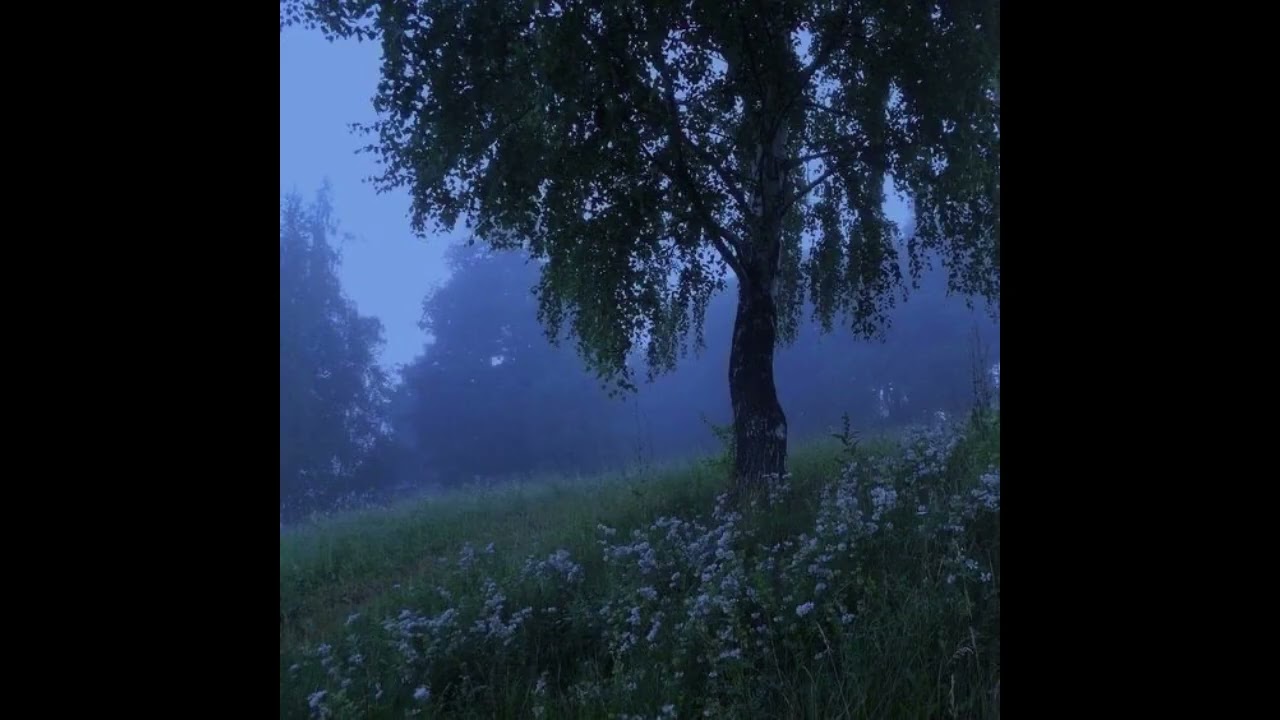~ &diams; &bull; Vent Playlist &bull; &diams; ~