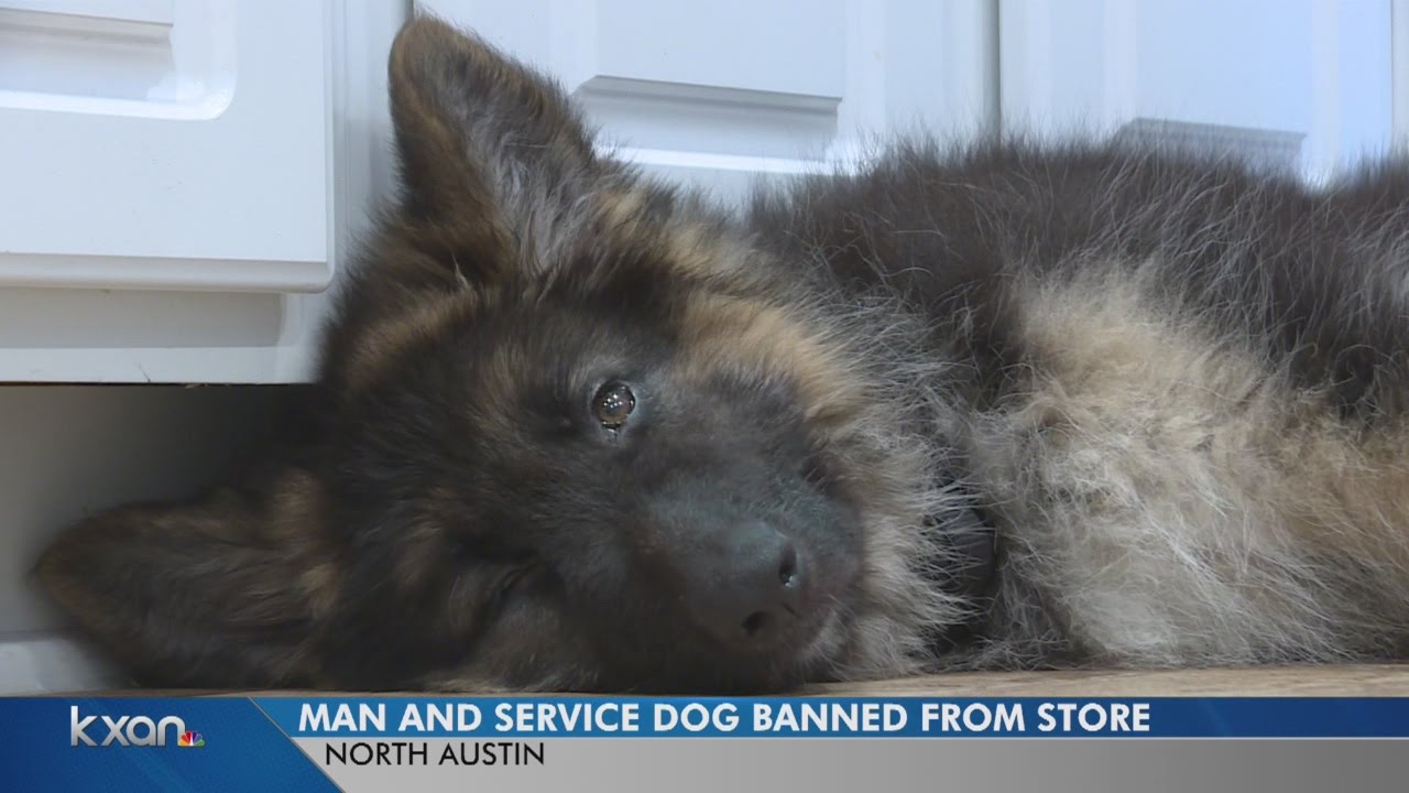 Service dog and owner told to leave Whole Foods
