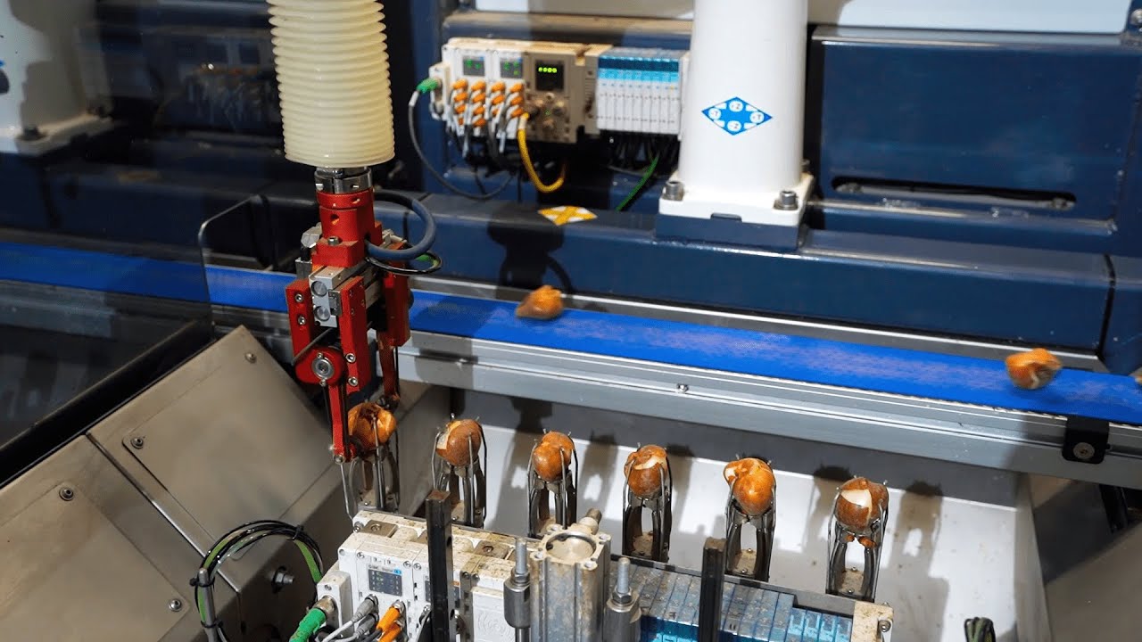GreenportLIVE: een innoverende streek en sector met de innovatie van tulp plant robot van ISO Group