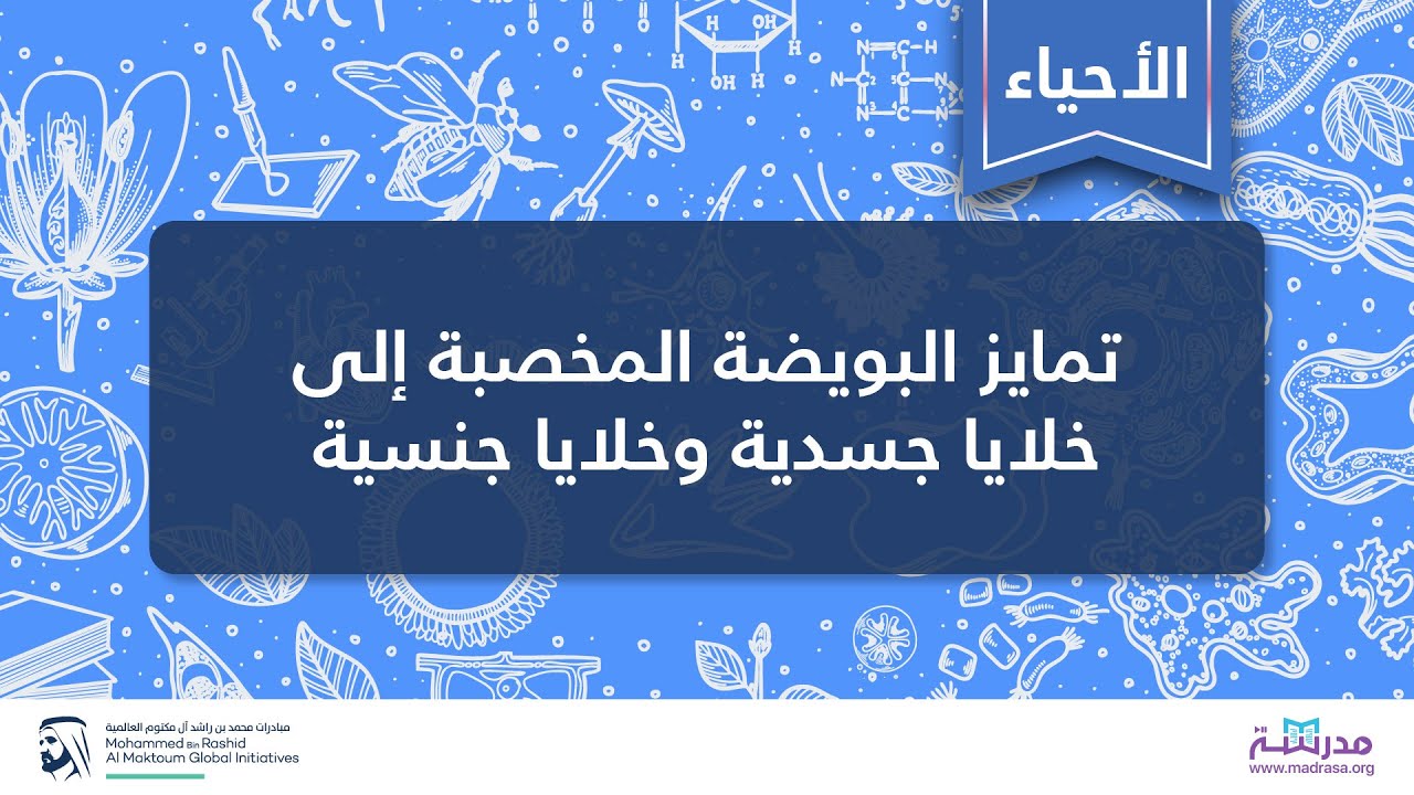 تمايز البويضة المخصبة إلى خلايا جسدية وخلايا جنسية | الأحياء | انقسام الخلايا