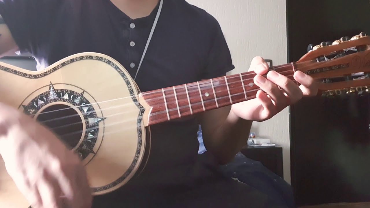 Echame a mi la culpa - Vihuela