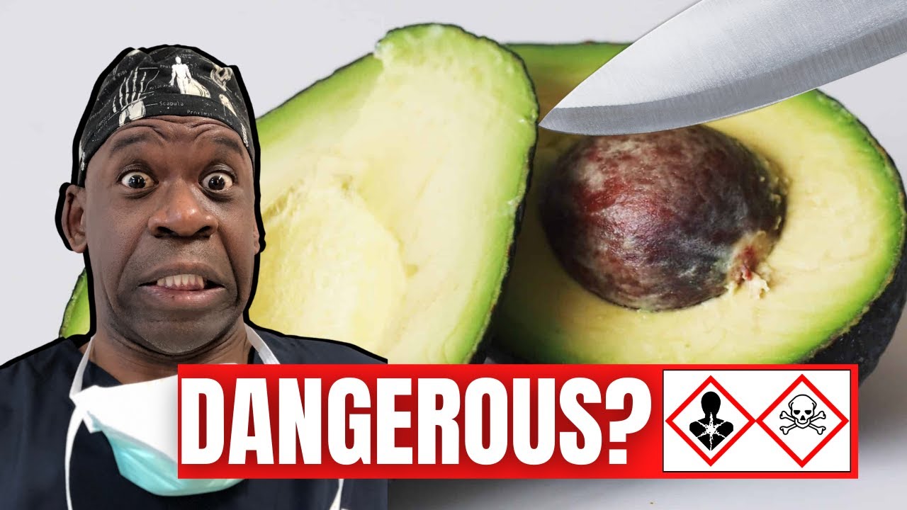AVOCADOS ARE DANGEROUS! Surgeon Explains