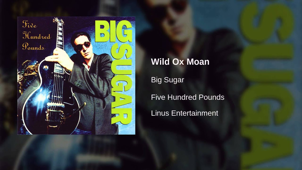 Big Sugar - Wild Ox Moan