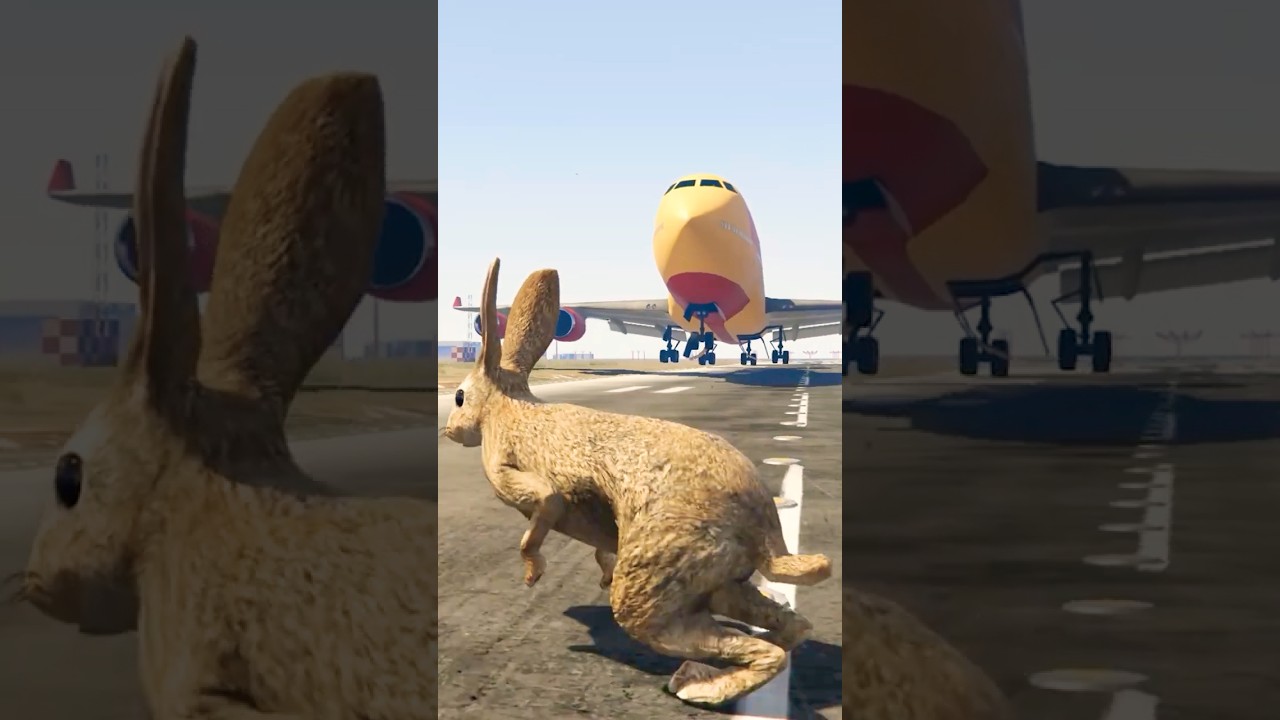Only in GTA 5 : Bunny vs. Plane... THE IMPOSSIBLE ESCAPE! 😱 GTA6 GTA 6 لعبه قراند كراند