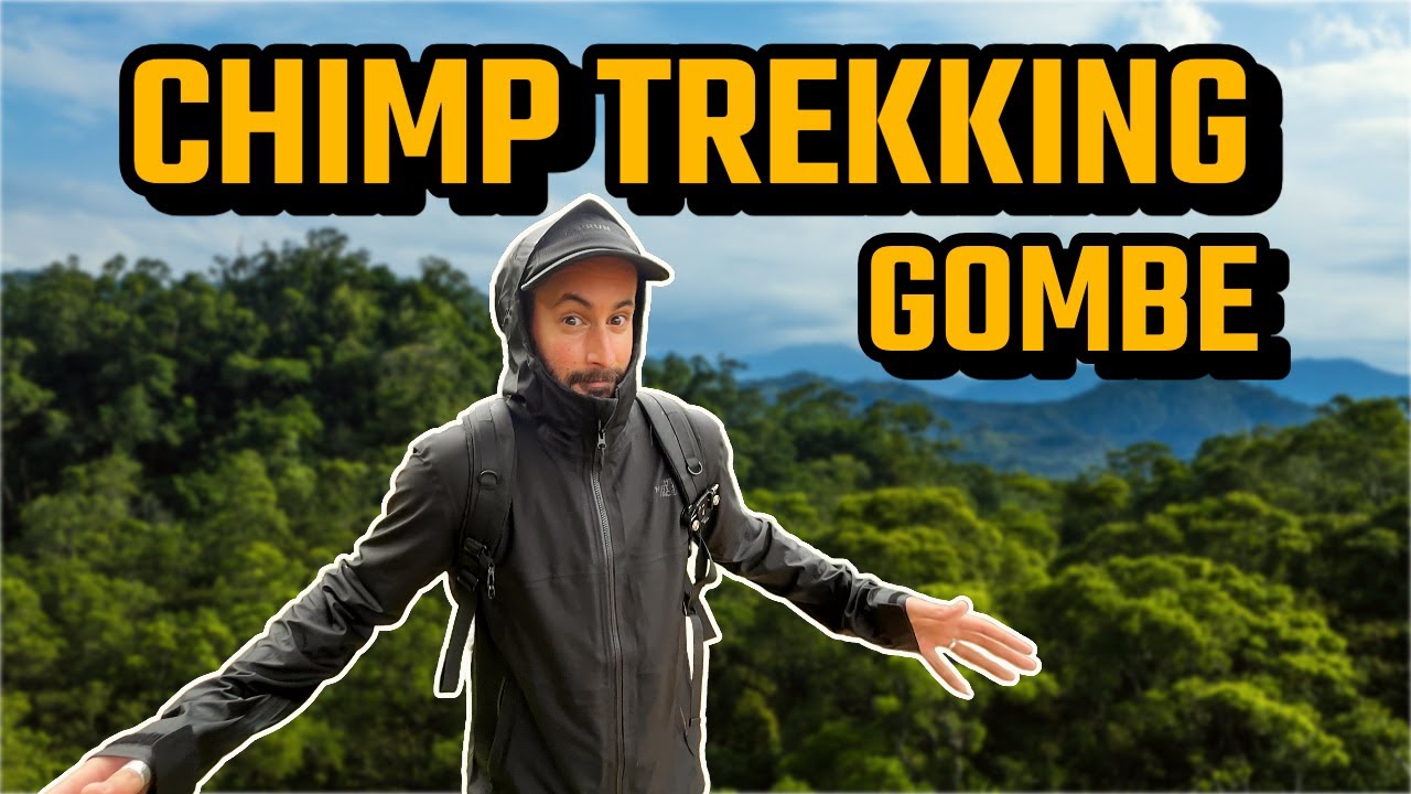 Exploring Gombe: Chimp Trekking & Jane Goodall’s House Tour