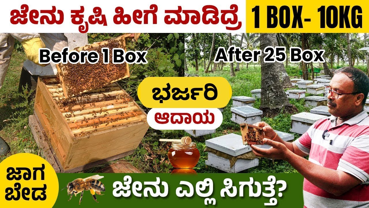 How To Start Honey Bee Farming? ಲಾಭದಾಯಕ ಆದಾಯ  ಜೇನು ಕೃಷಿಯಲ್ಲಿ| Bee Keeping In Kannada | Apiculture