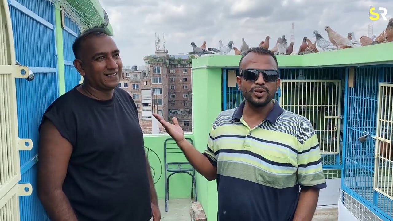 ৩৫ বছরের কবুতর ওড়ানোর অভিজ্ঞতা চিলা সোহেল [দাদু ]মাথায় নষ্ট  ft. @jongliornof
